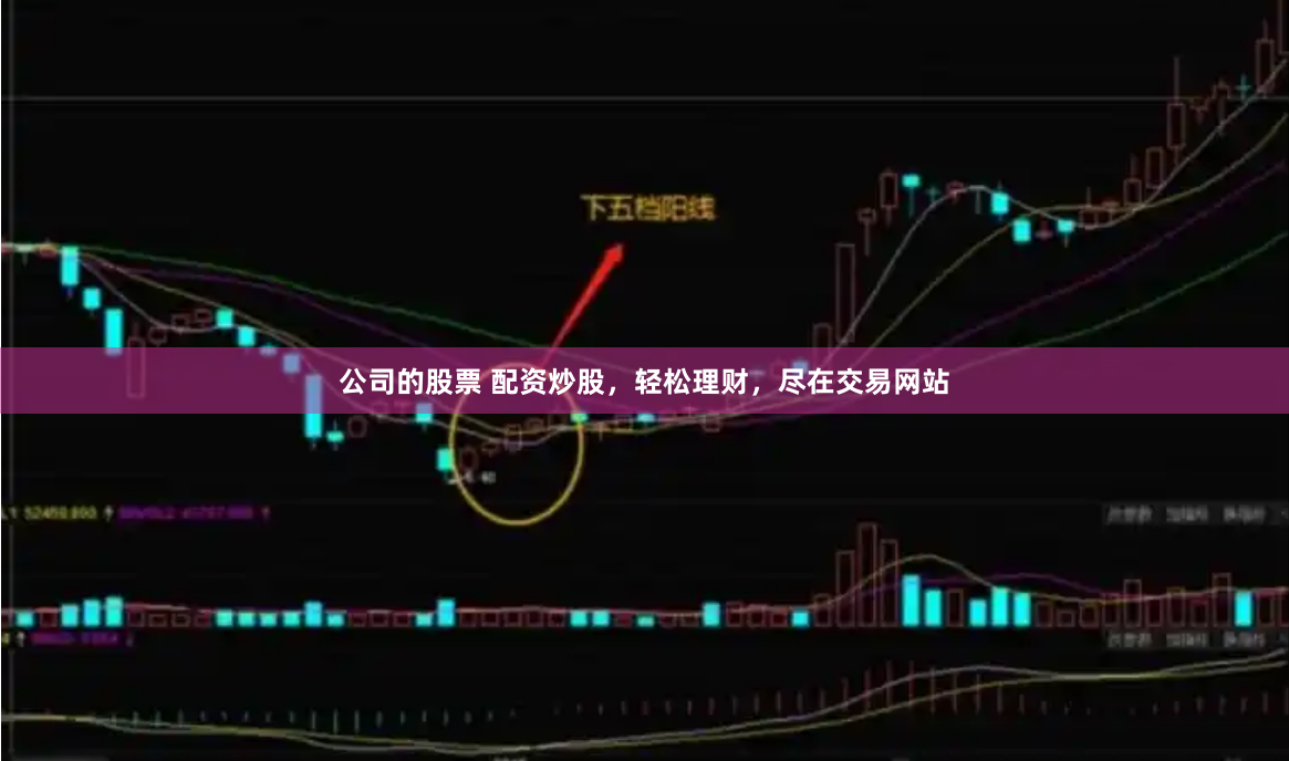 公司的股票 配资炒股，轻松理财，尽在交易网站