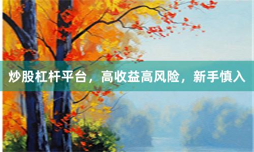 炒股杠杆平台，高收益高风险，新手慎入