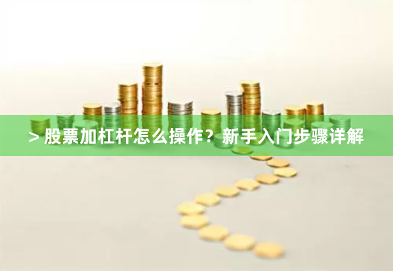 > 股票加杠杆怎么操作？新手入门步骤详解